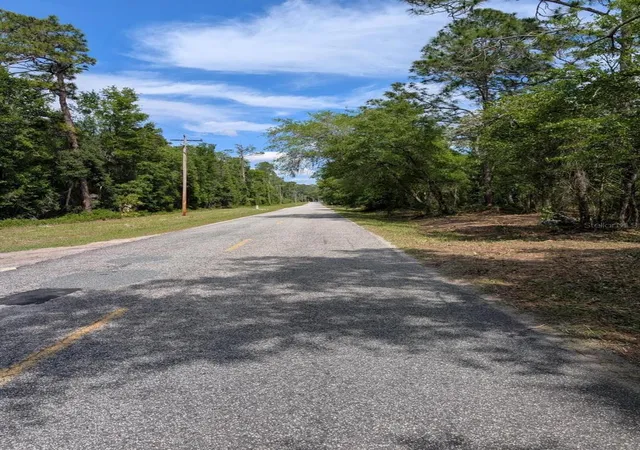 3rd image of 0 Ne 220Th St, Fort Mc Coy, FL 32134 | MLS# OM724633