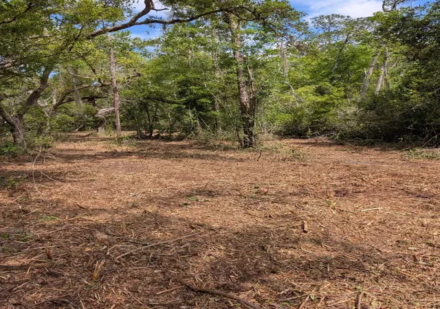 5th image of 0 Ne 220Th St, Fort Mc Coy, FL 32134 | MLS# OM724633