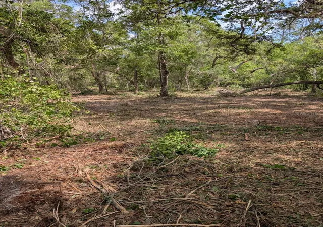10th image of 0 Ne 220th St, Fort Mc Coy, FL 32134 | MLS# OM724633
