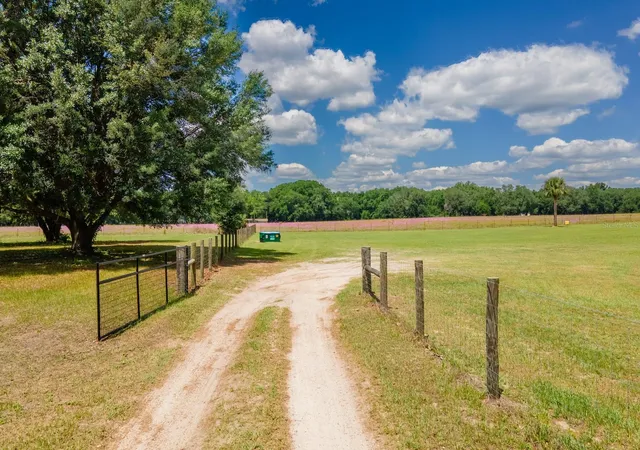 Photo 2 of Single family home for sale at 4381 NE 105th Place, Anthony, FL 32617 | MLS# OM724638 | Listing updated on 2026-09-01