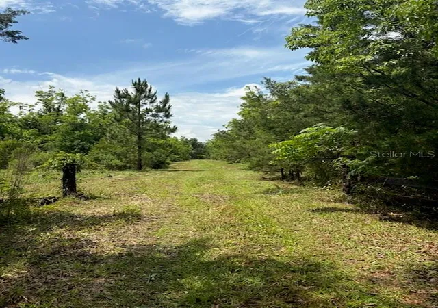 Photo 1 of Land for sale at 459 County Rd 2006 E, Bunnell, FL 32110 | MLS# FC318493 | Listing updated on 2026-08-09