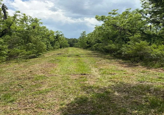 Photo 2 of Land for sale at 459 County Rd 2006 E, Bunnell, FL 32110 | MLS# FC318493 | Listing updated on 2026-08-09