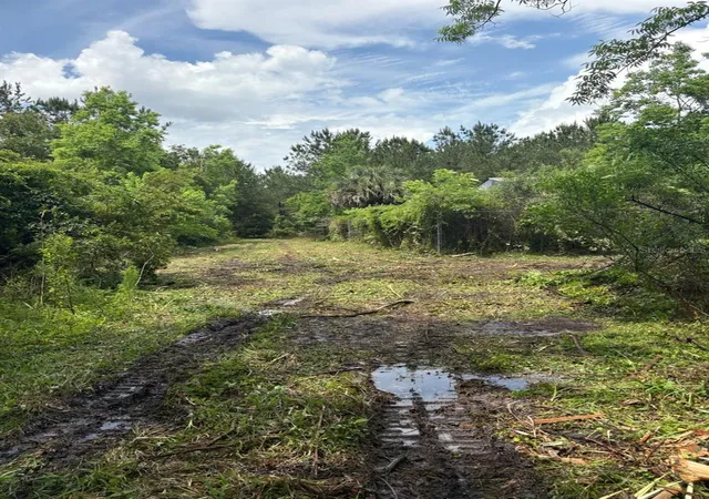 Photo 3 of Land for sale at 459 County Rd 2006 E, Bunnell, FL 32110 | MLS# FC318493 | Listing updated on 2026-08-09