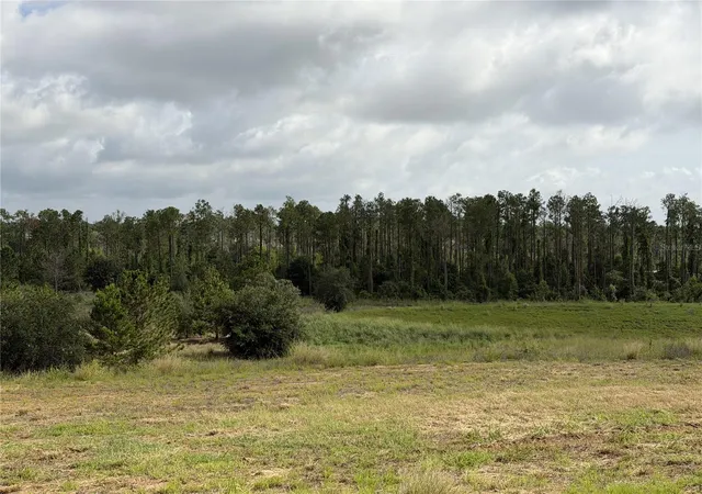 Photo 3 of Land for sale at 15429 Apennine Way, Montverde, FL 34756 | MLS# G5112291 | Listing updated on 2026-10-03