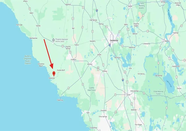 Photo 3 of Land for sale at 193 Se 859th Avenue, Old Town, FL 32680 | MLS# W7885709 | Listing updated on 2026-08-07
