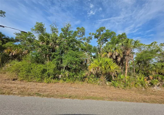 Photo 4 of Land for sale at 1193 Hammacher Ln, Port Charlotte, FL 33953 | MLS# C7526109 | Listing updated on 2026-05-21