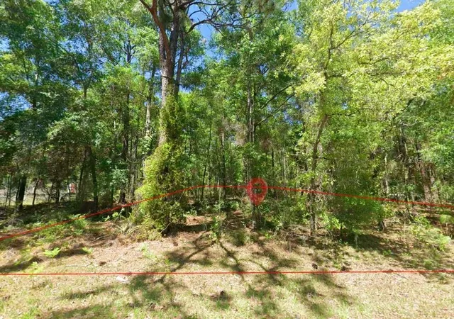 Photo 3 of Land for sale at 2581 W Pharaoh Ct #28, Lecanto, FL 34461 | MLS# TB8508017 | Listing updated on 2026-09-19