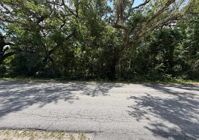 Homes for sale in Webster, FL | 0 Cr 656, Webster, FL 33597 | MLS# O6407465
