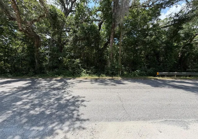 Homes for sale in Webster, FL | 0 Cr 656, Webster, FL 33597 | MLS# O6407465