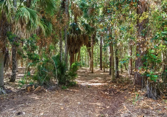 5th image of Osowaw Blvd, Spring Hill, FL 34607 | MLS# W7885722