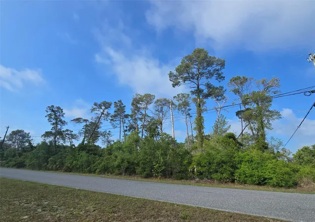 Photo 3 of Land for sale at 10044 Noddy Tern Rd, Weeki Wachee, FL 34613 | MLS# W7885723 | Listing updated on 2026-09-12