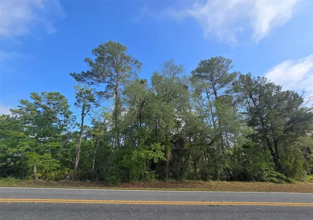 Photo 3 of Land for sale at 10185 Noddy Tern Rd, Weeki Wachee, FL 34613 | MLS# W7885726 | Listing updated on 2026-09-12