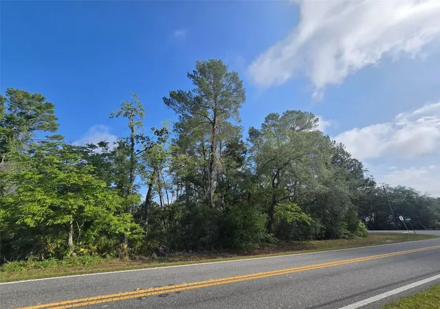 Photo 3 of Land for sale at 10185 Noddy Tern Rd, Weeki Wachee, FL 34613 | MLS# W7885726 | Listing updated on 2026-09-12
