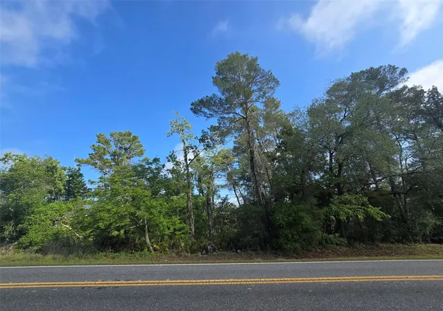 Photo 4 of Land for sale at 10185 Noddy Tern Rd, Weeki Wachee, FL 34613 | MLS# W7885726 | Listing updated on 2026-09-12