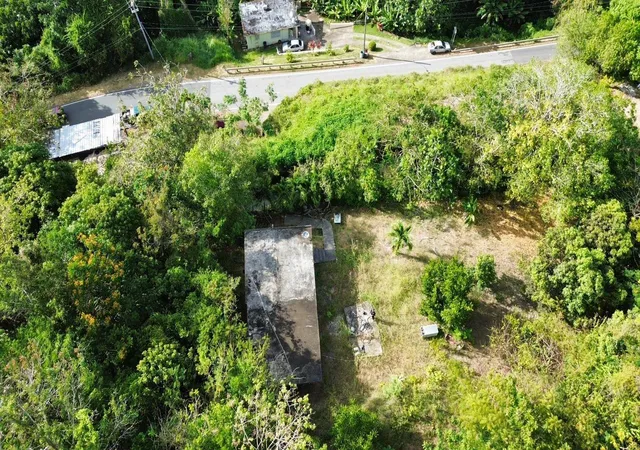 Homes for sale in Patillas, PR | 753 Carr 753 Km Hm 29 Bo Cacao, Patillas, PR 00723 | MLS# PR9121334