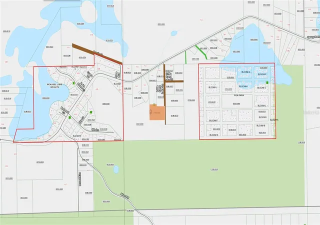 Homes for sale in Georgetown, FL | Georgetown Denver Point Rd, Georgetown, FL 32139 | MLS# D6147458
