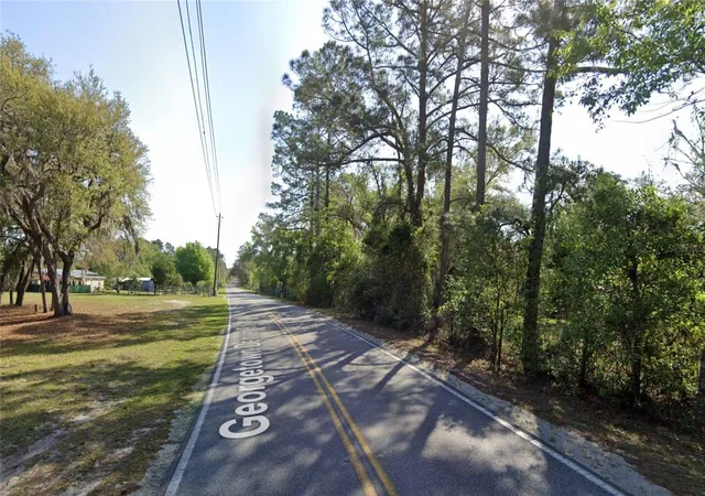 Homes for sale in Georgetown, FL | Georgetown Denver Point Rd, Georgetown, FL 32139 | MLS# D6147458