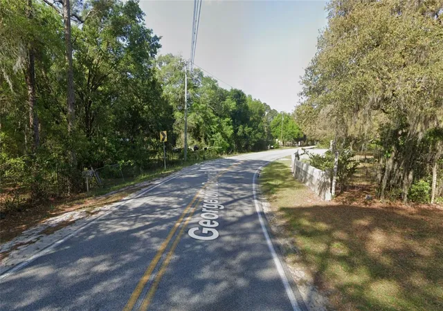 Homes for sale in Georgetown, FL | Georgetown Denver Point Rd, Georgetown, FL 32139 | MLS# D6147458