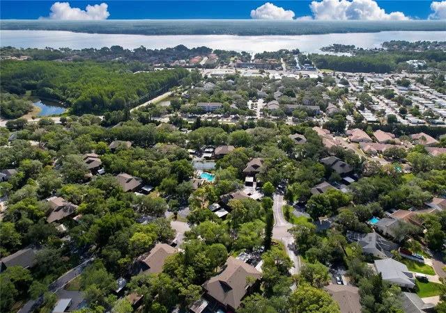 2nd image of 1006 Lennox Rd W, PALM HARBOR, FL 34683
