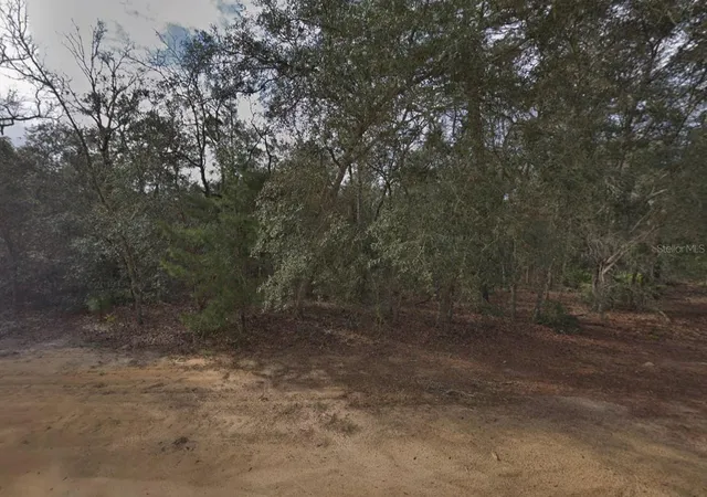 Photo 1 of Land for sale at 917 David Ave, Interlachen, FL 32148 | MLS# C7526193 | Listing updated on 2026-10-08