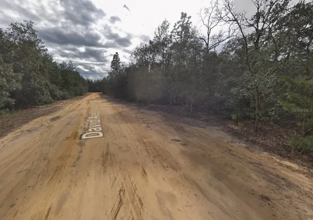 Photo 2 of Land for sale at 917 David Ave, Interlachen, FL 32148 | MLS# C7526193 | Listing updated on 2026-10-08