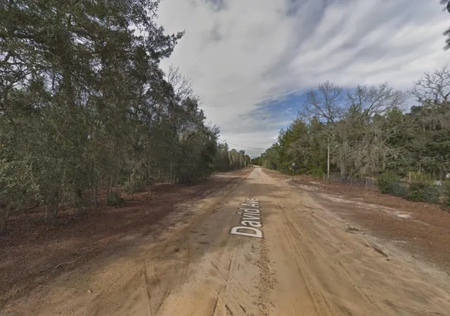 Photo 3 of Land for sale at 917 David Ave, Interlachen, FL 32148 | MLS# C7526193 | Listing updated on 2026-10-08