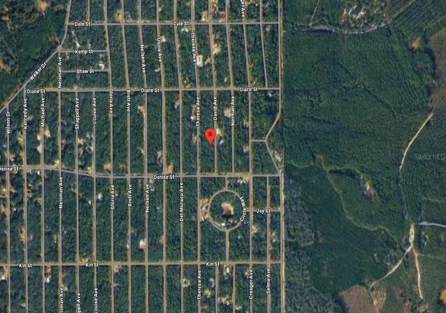 Photo 3 of Land for sale at 917 David Ave, Interlachen, FL 32148 | MLS# C7526193 | Listing updated on 2026-10-08