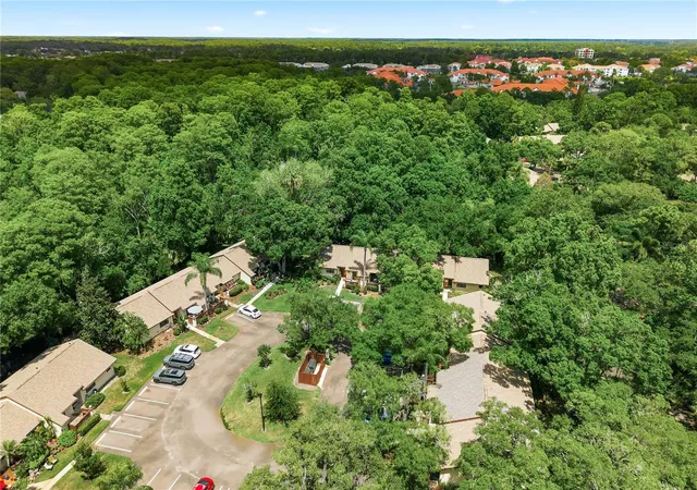 2nd image of 4041 Arrowwood Ct, PALM HARBOR, FL 34684