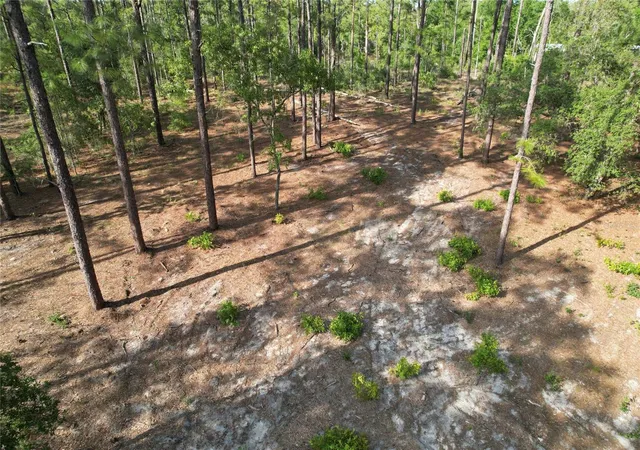 Homes for sale in Morriston, FL | 148th Ct, Morriston, FL 32668 | MLS# O6408026