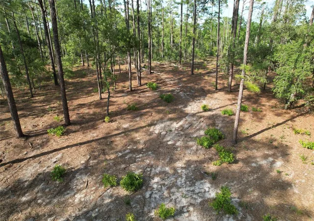 Homes for sale in Morriston, FL | 148Th Ct, Morriston, FL 32668 | MLS# O6408026