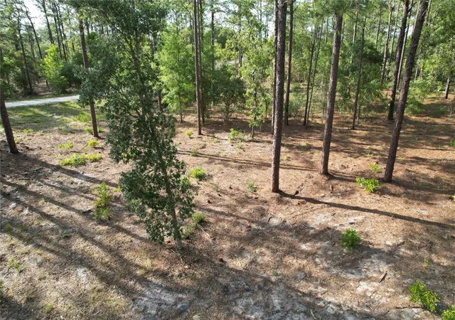 Homes for sale in Morriston, FL | 148Th Ct, Morriston, FL 32668 | MLS# O6408026