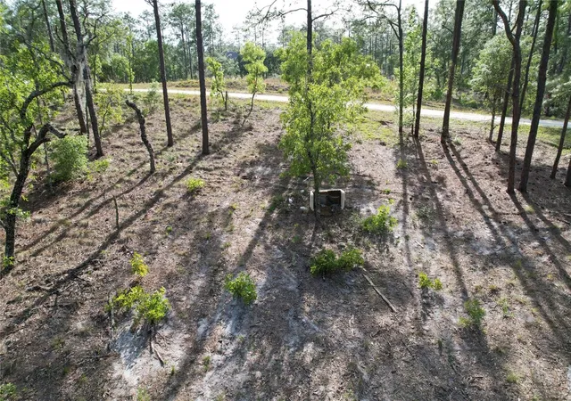 Homes for sale in Morriston, FL | 148Th Ct, Morriston, FL 32668 | MLS# O6408026