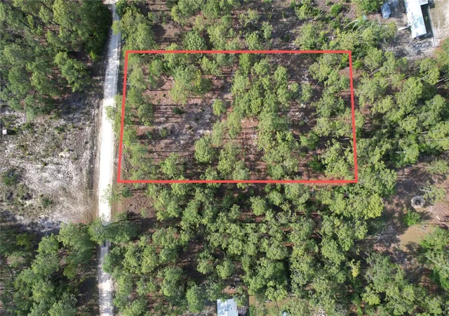 Homes for sale in Morriston, FL | 148th Ct, Morriston, FL 32668 | MLS# O6408026