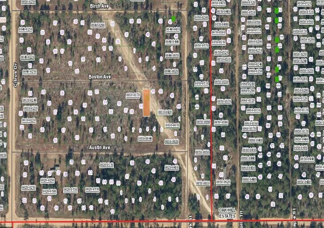 Photo 2 of Land for sale at Xx Boston Ave, Interlachen, FL 32148 | MLS# FC318551 | Listing updated on 2026-05-19
