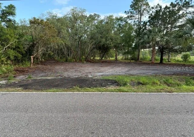 Homes for sale in De Leon Springs, FL | Spring Garden Ranch Rd, De Leon Springs, FL 32130 | MLS# V4949100