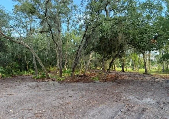 Homes for sale in De Leon Springs, FL | Spring Garden Ranch Rd, De Leon Springs, FL 32130 | MLS# V4949100
