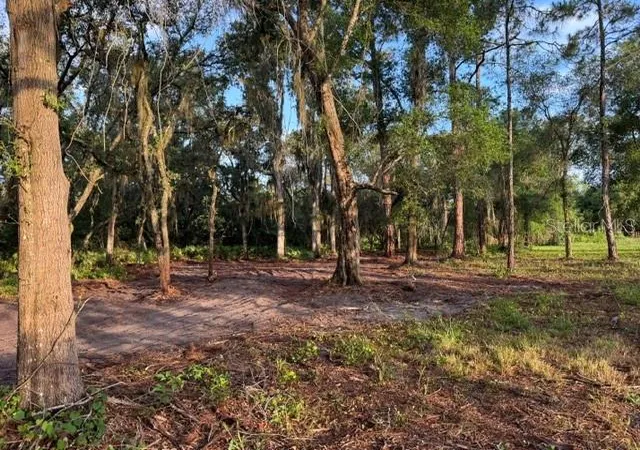 Homes for sale in De Leon Springs, FL | Spring Garden Ranch Rd, De Leon Springs, FL 32130 | MLS# V4949100