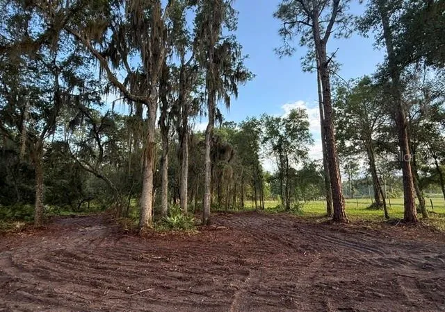 Homes for sale in De Leon Springs, FL | Spring Garden Ranch Rd, De Leon Springs, FL 32130 | MLS# V4949100