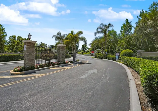 4th image of 441 Harbor Ridge Dr, Palm Harbor, FL 34683 | MLS# TB8508907