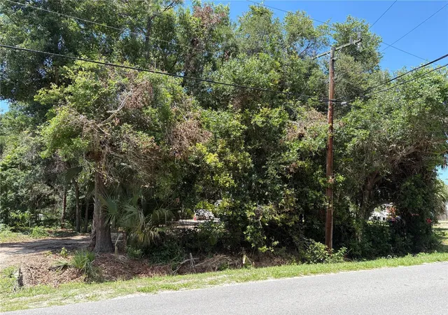 Homes for sale in Oak Hill, FL | 168 Canal Ave, Oak Hill, FL 32759 | MLS# O6408151