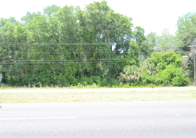 12th image of Us Hwy 301, Citra, FL 32113 | MLS# OM724793