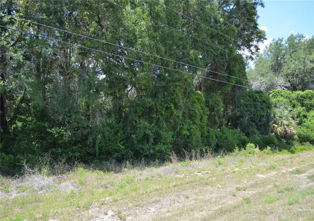 2nd image of Us Hwy 301, Citra, FL 32113 | MLS# OM724793