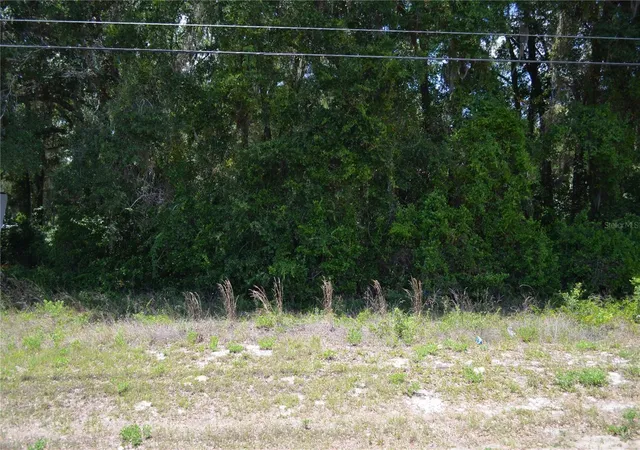3rd image of Us Hwy 301, Citra, FL 32113 | MLS# OM724793