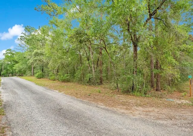 Photo 3 of Land for sale at 1121 Silver Saddle Trl, Deland, FL 32724 | MLS# V4949107 | Listing updated on 2026-08-11