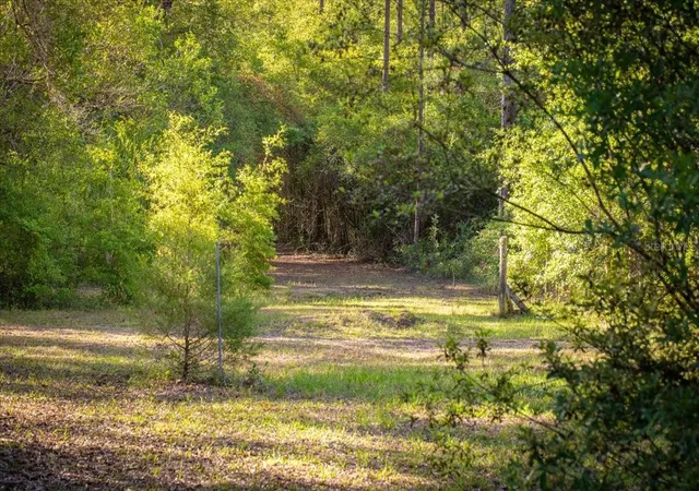 2nd image of 11418 Nw 161st St, Alachua, FL 32615 | MLS# GC540376