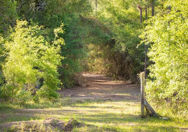 3rd image of 11418 Nw 161St St, Alachua, FL 32615 | MLS# GC540376