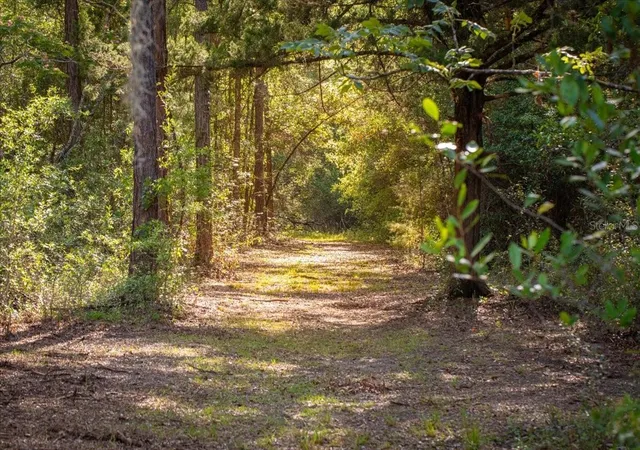 4th image of 11418 Nw 161St St, Alachua, FL 32615 | MLS# GC540376