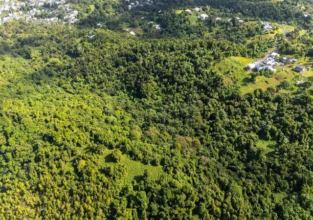 Photo 2 of Land for sale at 966 Zarzal Rd, Rio Grande, PR 00745 | MLS# PR9121401 | Listing updated on 2026-05-26