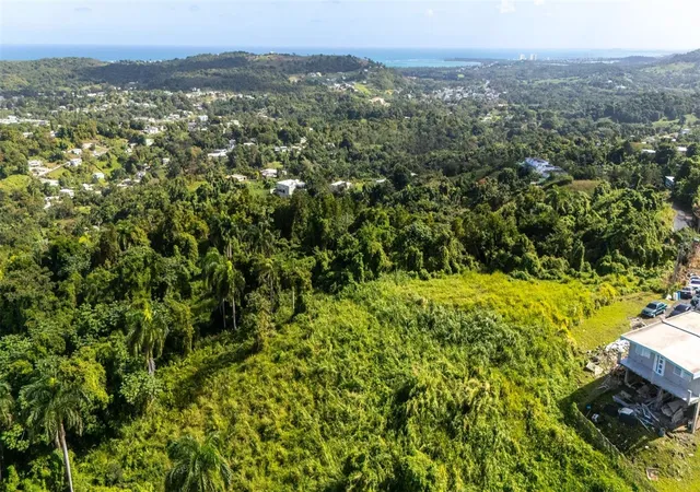Photo 3 of Land for sale at 966 Zarzal Rd, Rio Grande, PR 00745 | MLS# PR9121401 | Listing updated on 2026-05-26