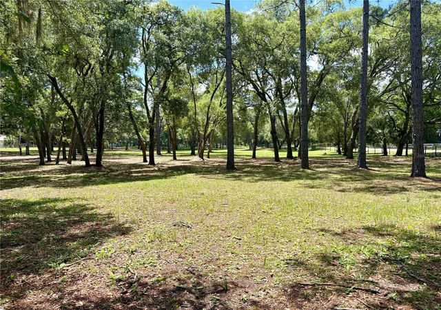 4th image of 390 Foothill Farms Rd, Orange City, FL 32763 | MLS# V4949116
